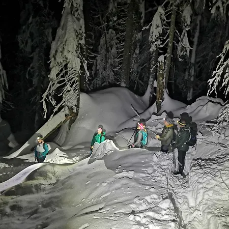 Alpehytte Suha Bohinj