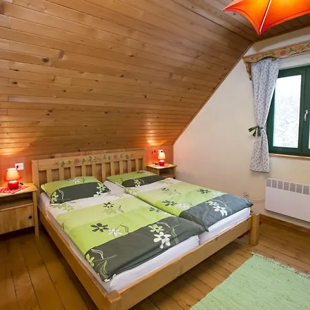 Suha Bohinj