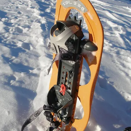 Alpesi faház Suha
