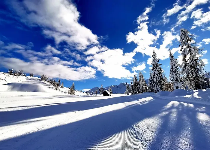 Suha シャレー ボーヒニ