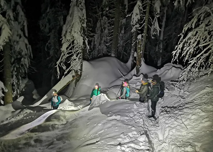 シャレー Suha ボーヒニ