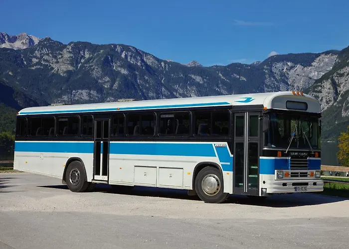 シャレー Suha ボーヒニ